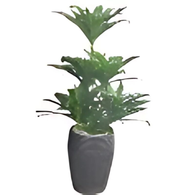 FLOWER POT BIG